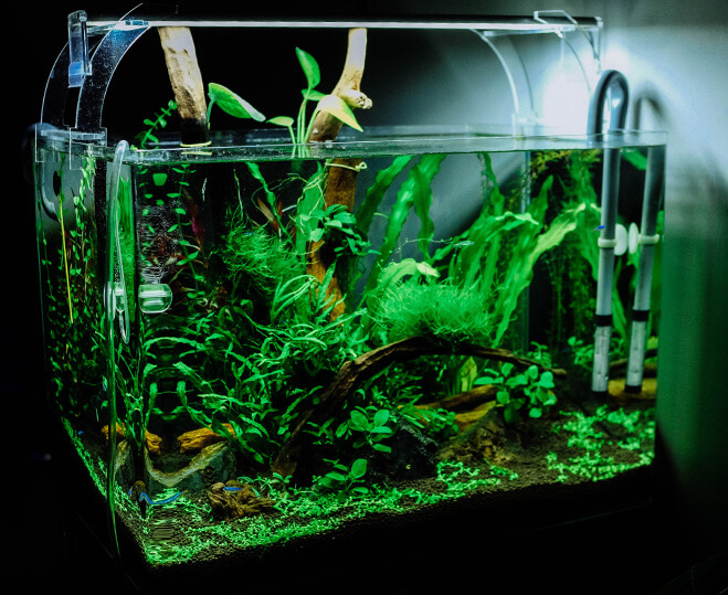 Köp akvarium - XL Zoo