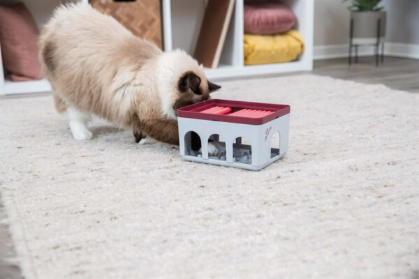 Cat Activity Rod Box - Image 4