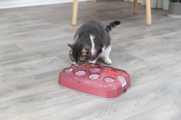 Cat Activity Soccer 33 x 23,5 cm - Image 6