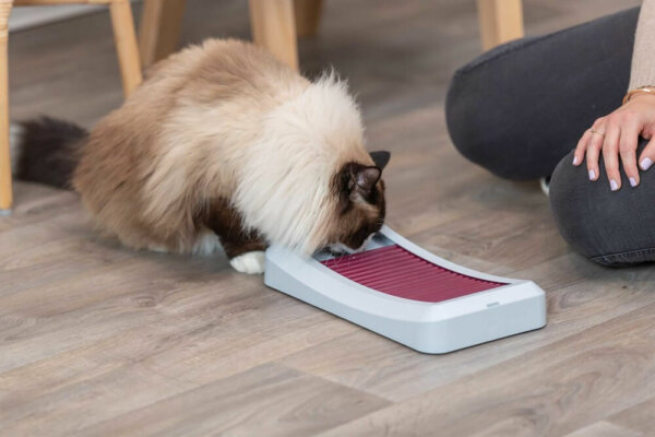 Cat Activity Board - Image 7