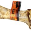 2Pets Strutsben Dino 30cm