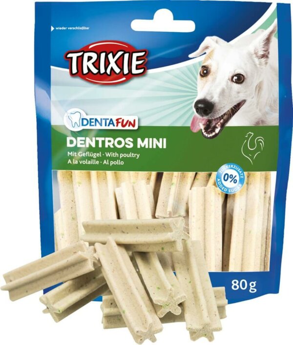 Dentros Mini 80g