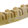 DentaFun Veggie Jaw Bone 12cm